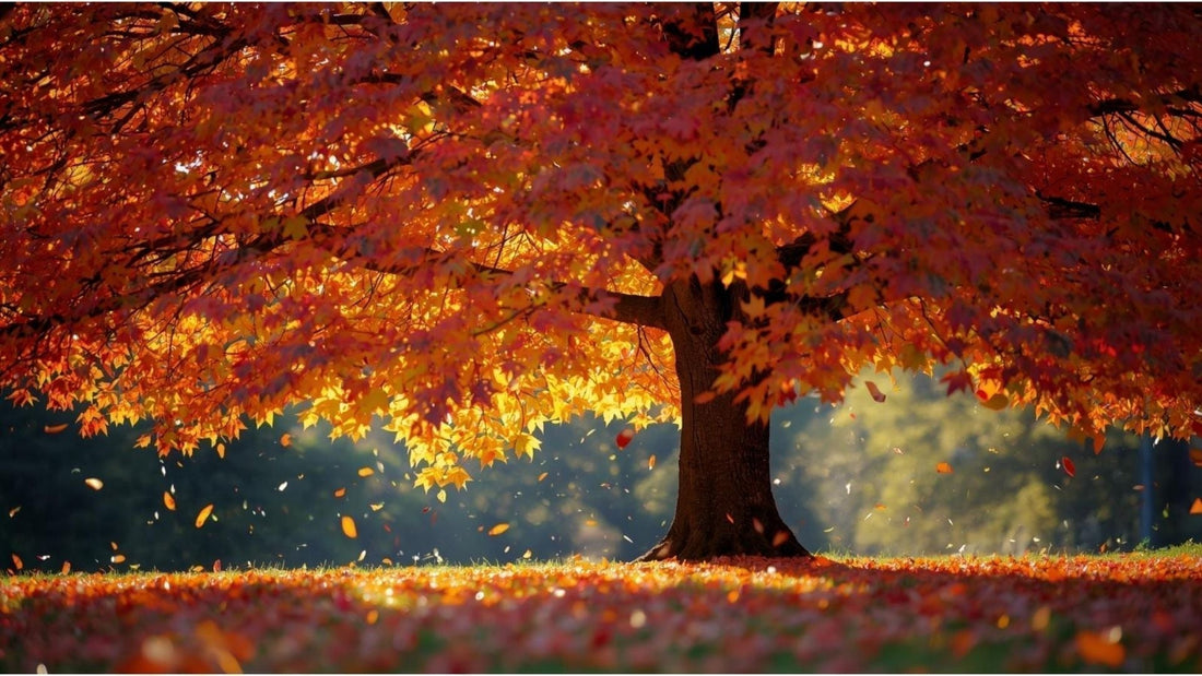 Haaruitval door ziekte, stress of medicijnen